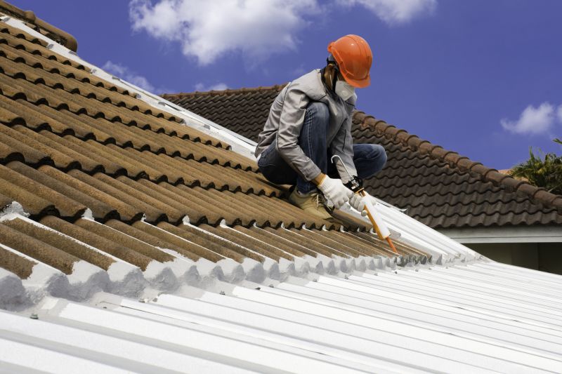 Skilled Roofing Professionals